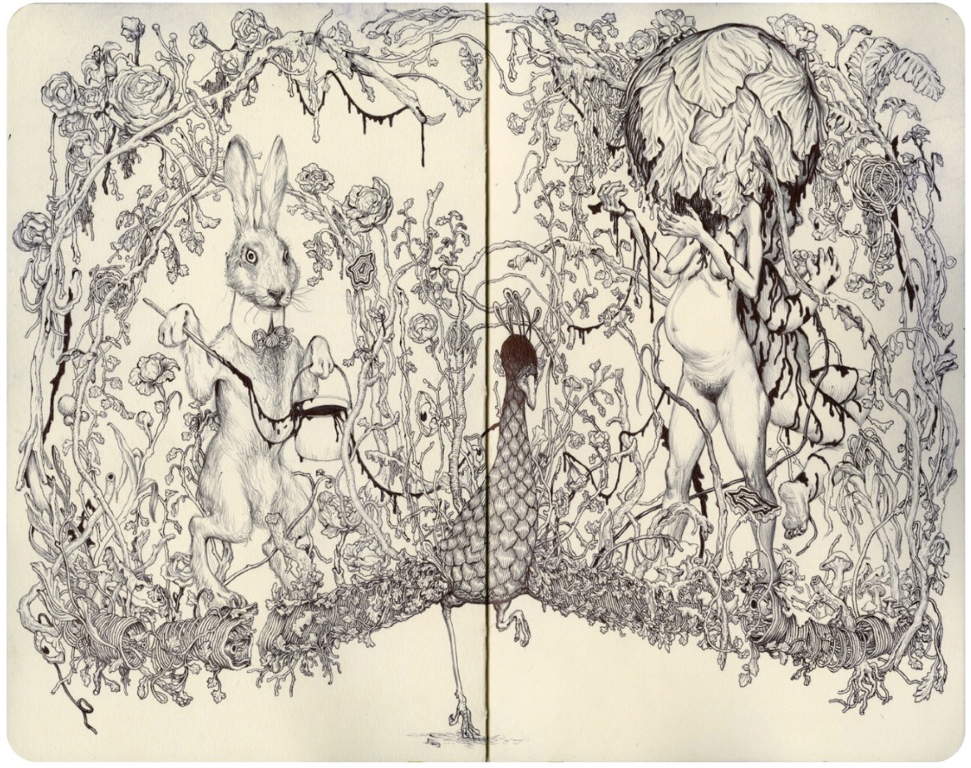 James Jean