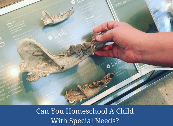 can-you-homeschool-a-child-with-special-needs-not-the-former-things