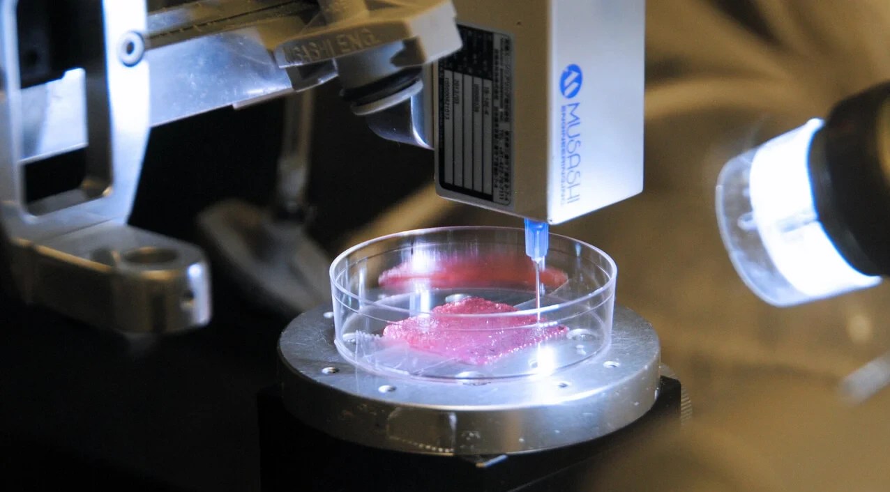 Alternatives to Animal Testing - when science becomes cruelty-free 