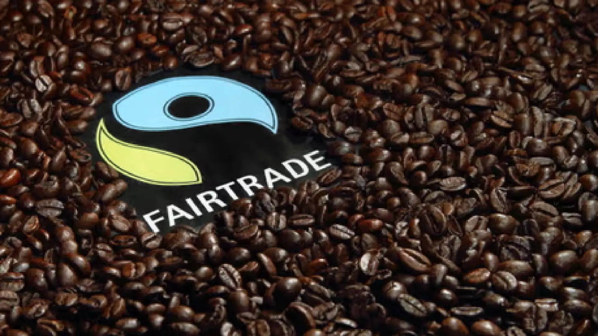 Beyond Vegan: The Importance of Fair Trade & Ethical Sourcing