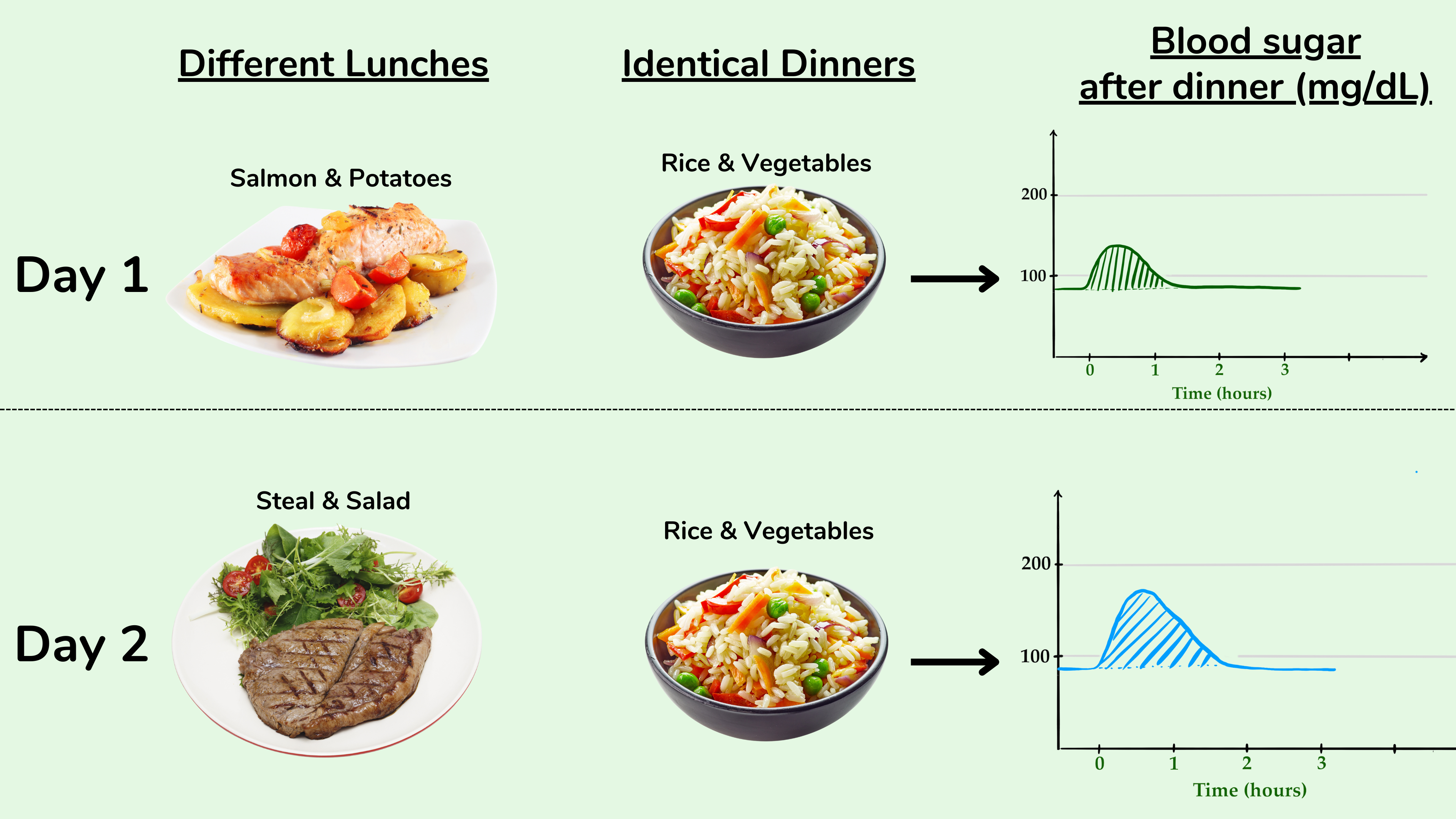 Example for the second meal effect: the carbohydrate content of lunch affects the blood sugar response to dinner