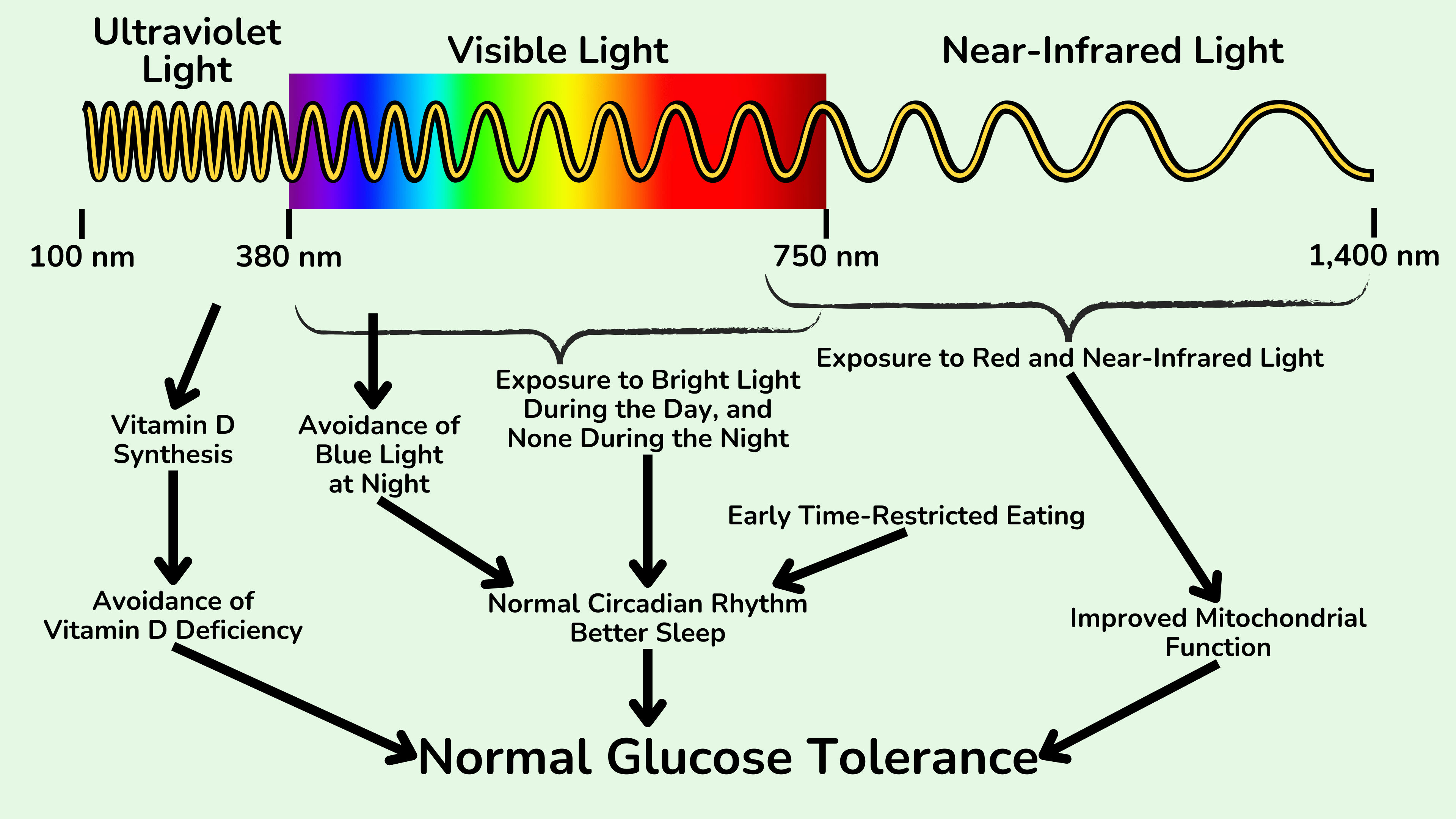 Light affects glucose tolerance through at least three mechanisms. First, UV-B triggers vitamin D synthesis in the skin and helps to prevent vitamin D deficiency. Second, exposure to bright light during the day and avoidance of (blue) light at night helps maintain our normal circadian rhythm, including good sleep. And third, red and near-infrared light improve the function of mitochondria.
