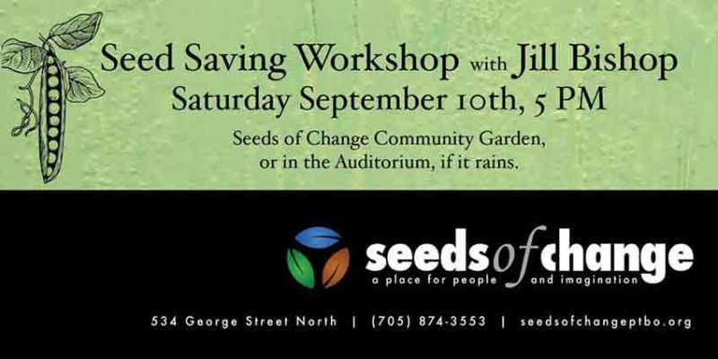 Seed Saving Workshop Nourish Project - Best Landscape Textures in Full HD