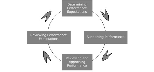 Performance Management Sequence Models - Sunset Texture Collection - Desktop Quality