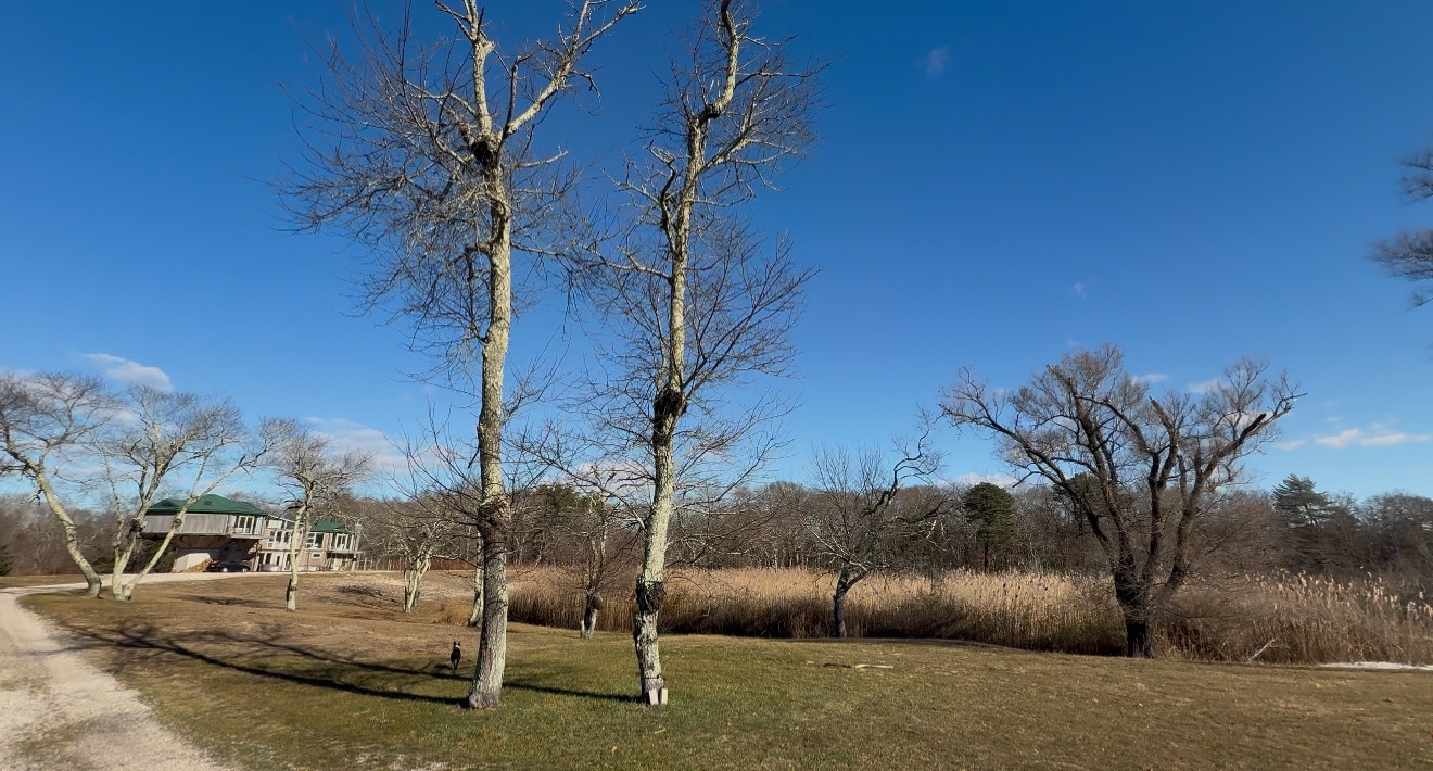 Hamptons Healing Reiki Breathwork Energy Retreat New York Nature