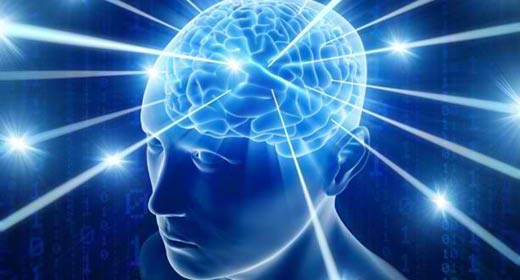 Image result for svest