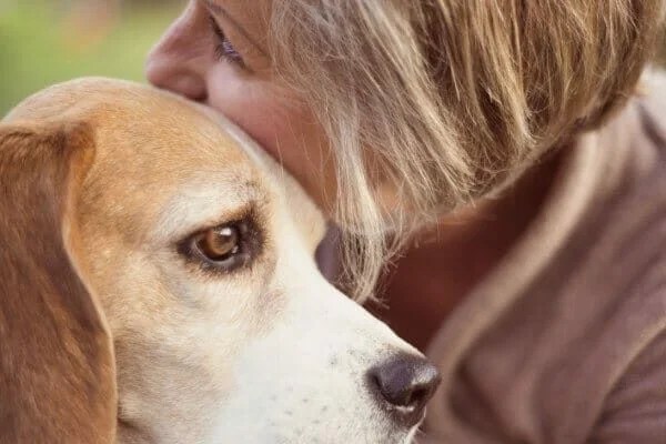 Benefits of Pet Service Strategies for Grieving Pet Owners