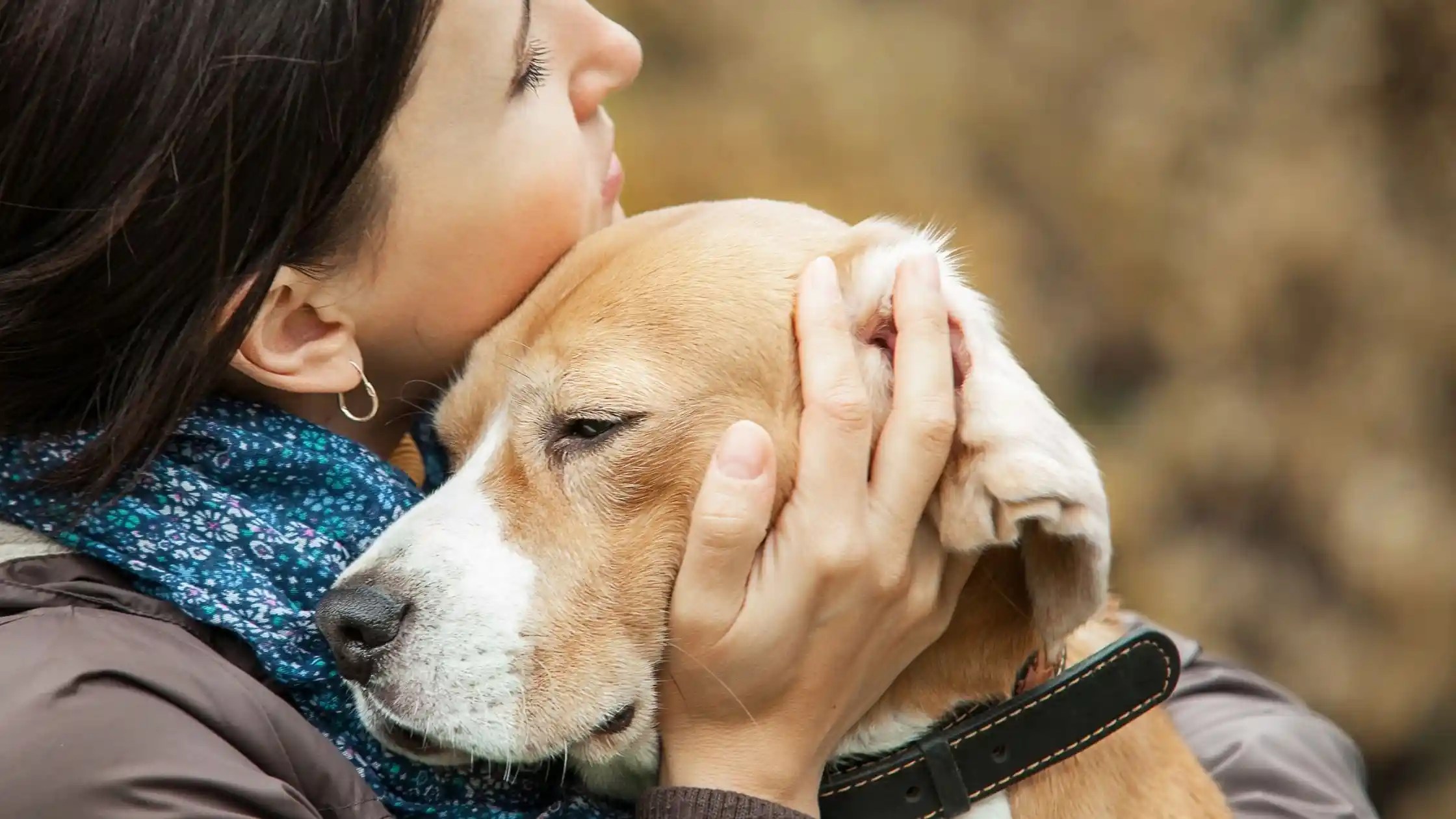 pet bereavement support strategies