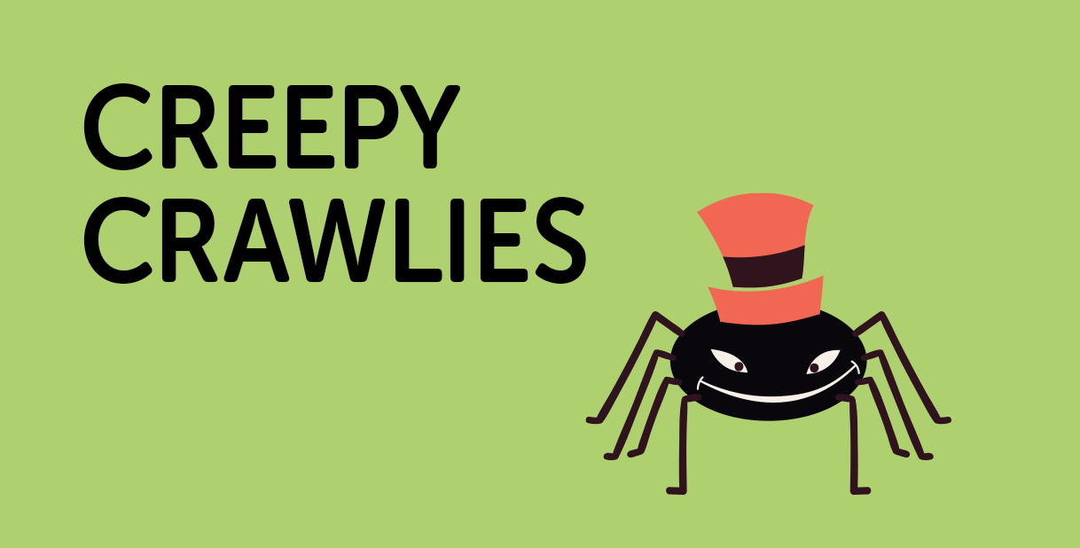 Novel Effect Creepy Crawlies