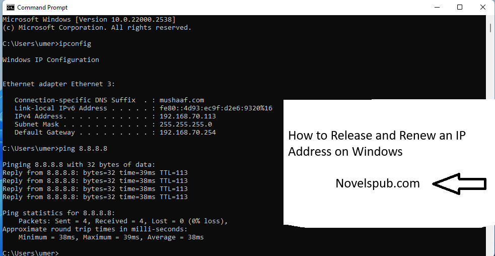 How to Release and Renew an IP Address on Windows