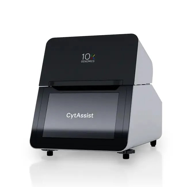 Novogene 10x Genomics Visium CytAssist​