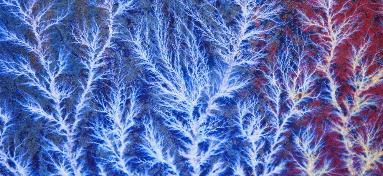 The Pathways of Aging: Growth Pathways and Nutrient Sensing