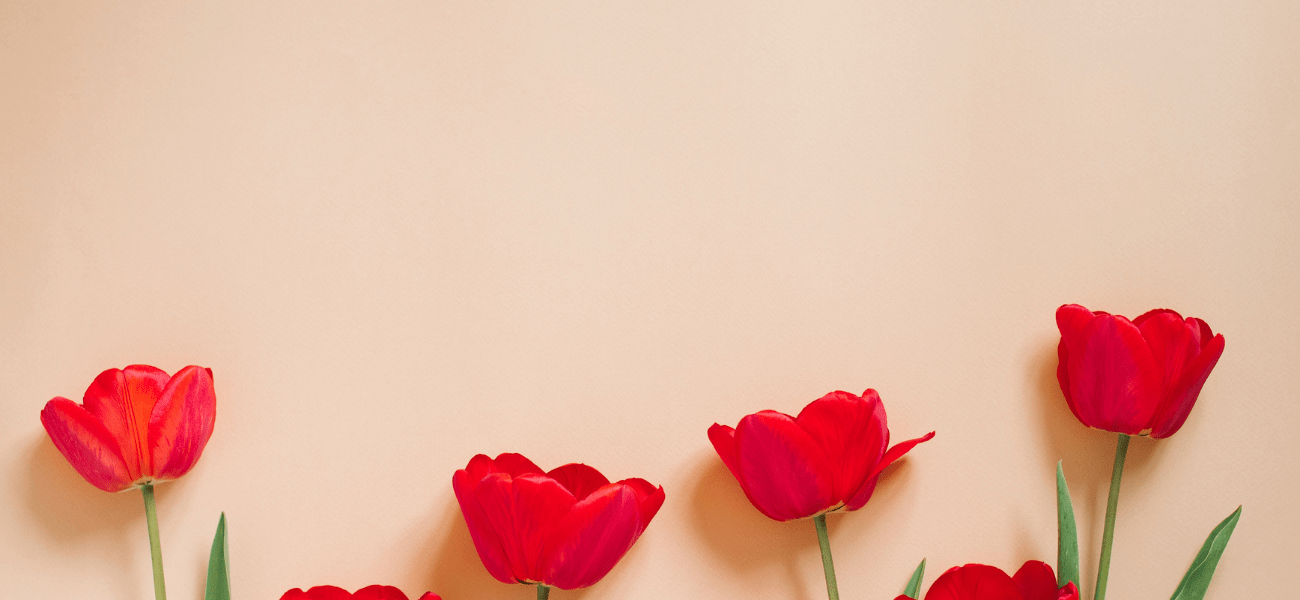 Fertility in Focus: Understanding Reproductive Aging