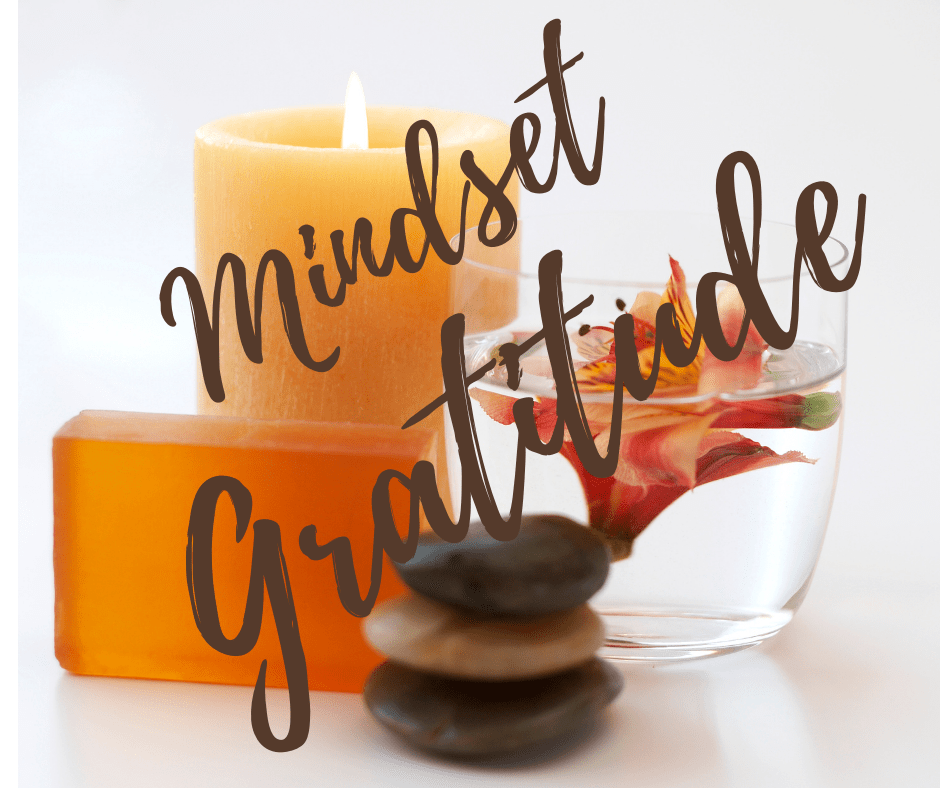Read more about the article Shift Your Mindset: USE GRATITUDE