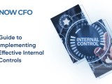 Implementing Effective Internal Controls Now Cfo
