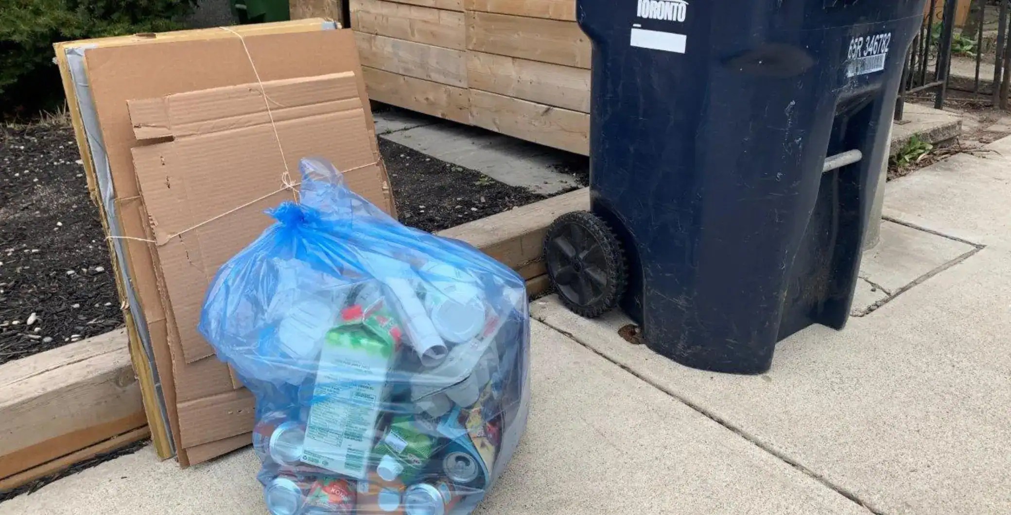 Toronto's Recycling Woes: Missed Pickups and Frustrated Residents (2026)