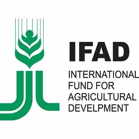 ifad logo