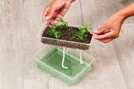 How to Get Started with Hydroponic Farming: A Beginner’s Guide