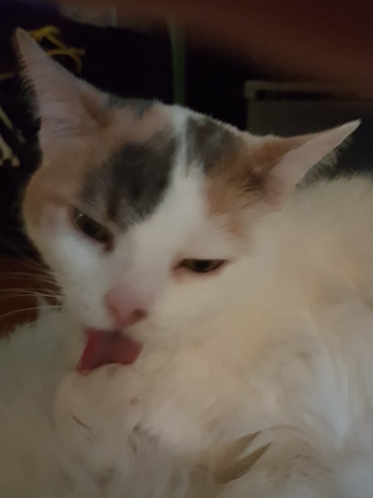 Yoda the getter in the way