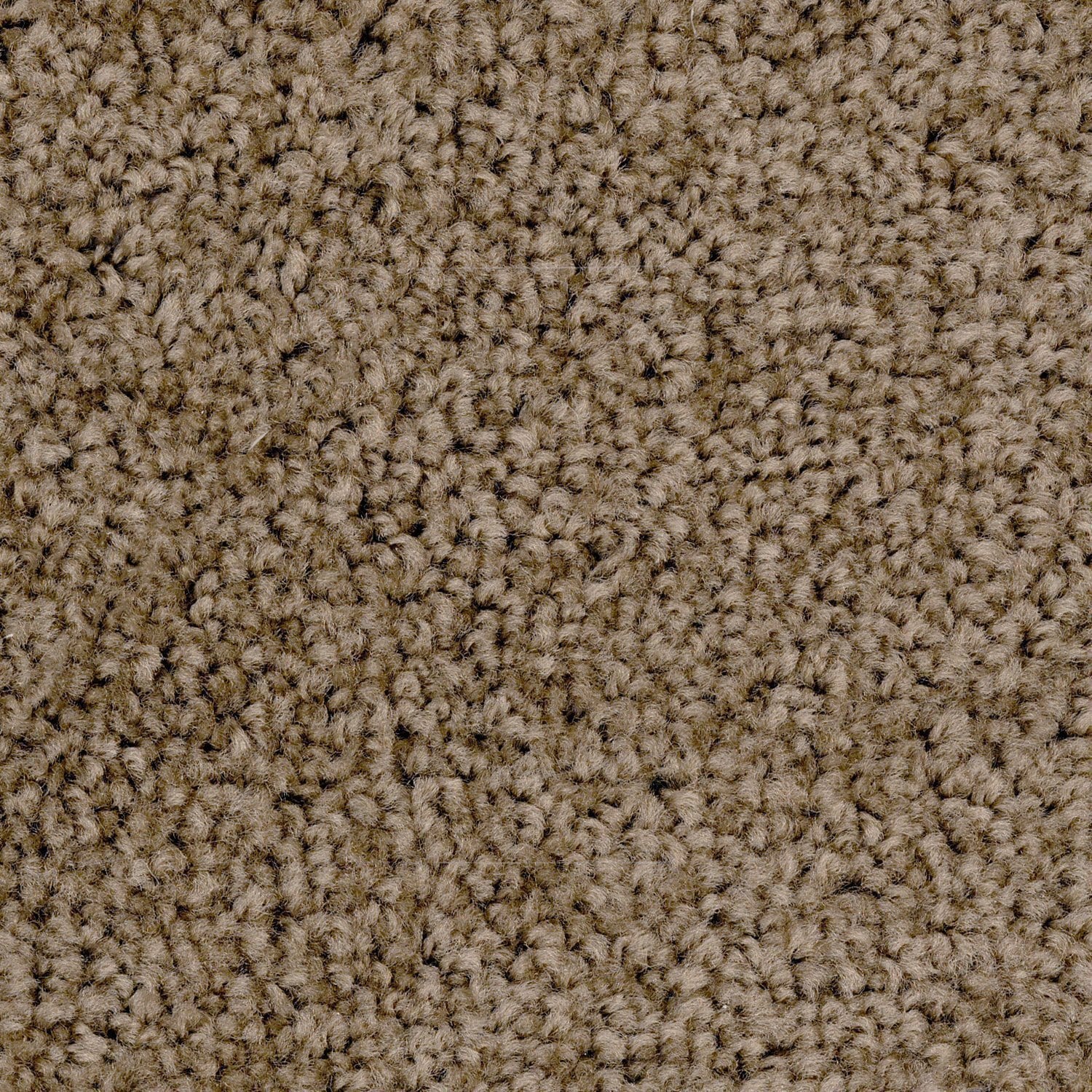 その他 shaedon sharpe PSA9 SPECTRA ASTRAL RPA shaedon sharpe PSA9 SPECTRA ASTRAL RPA