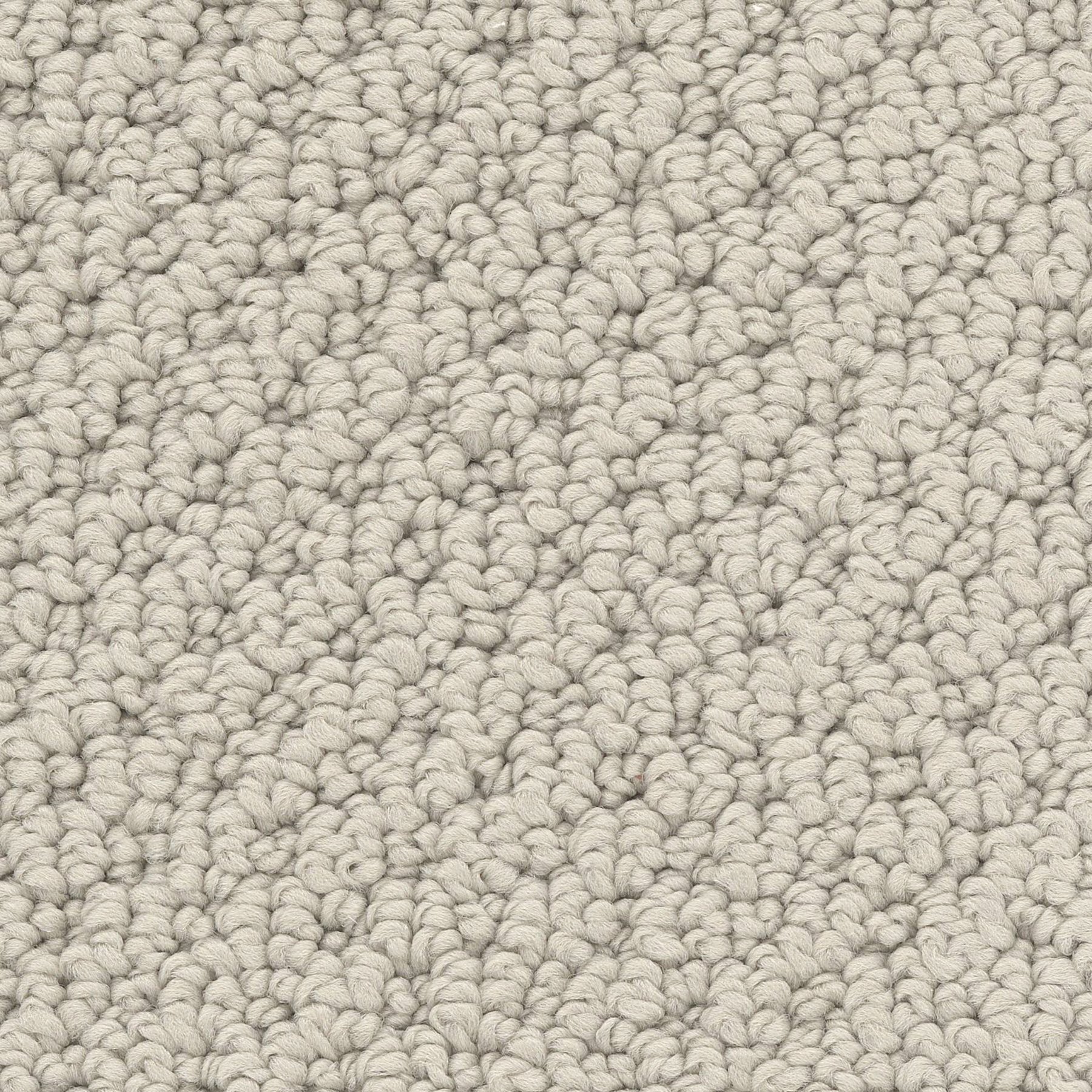 なまけもの Savant - NRF Select