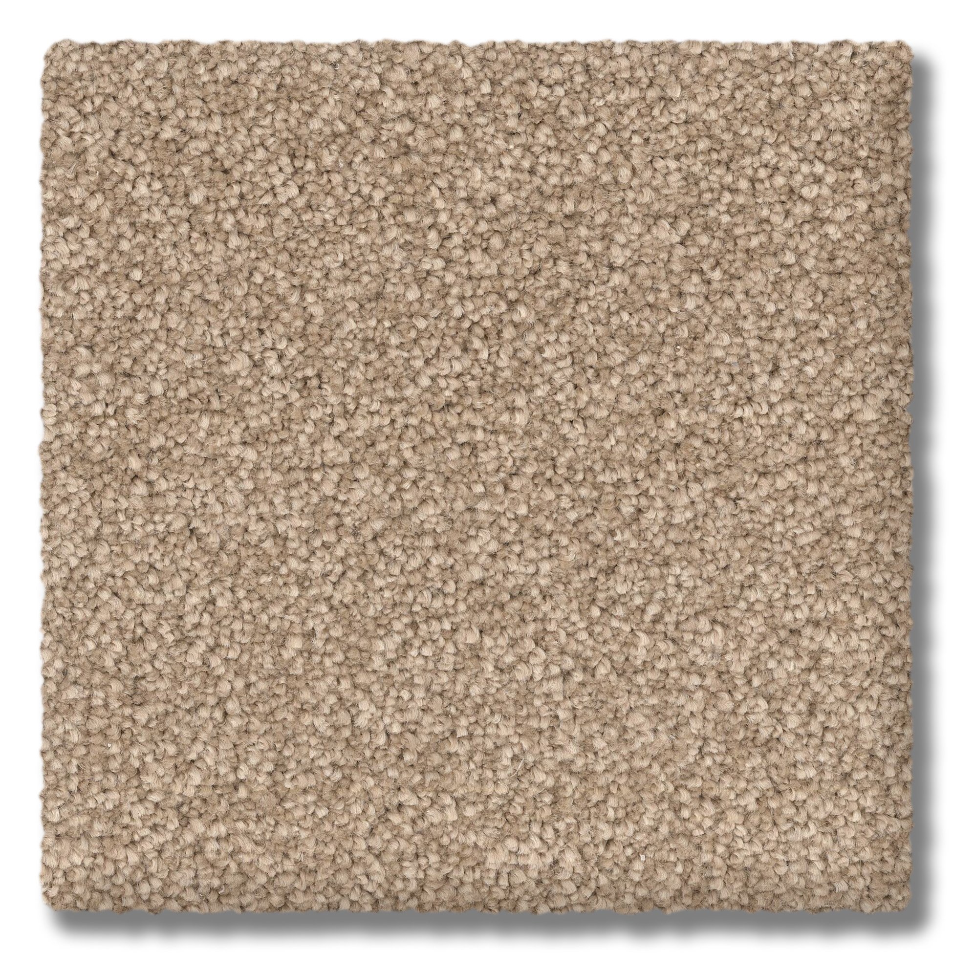 Posh-61_Churro.jpg?fit=1950,