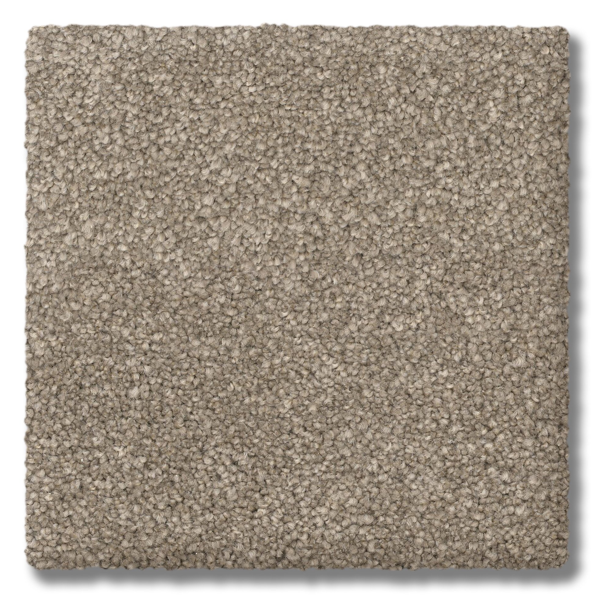 Posh-61_Hazelnut.jpg?fit=1950,