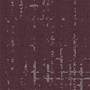 Celeste-Opacite.jpg?fit=300,
