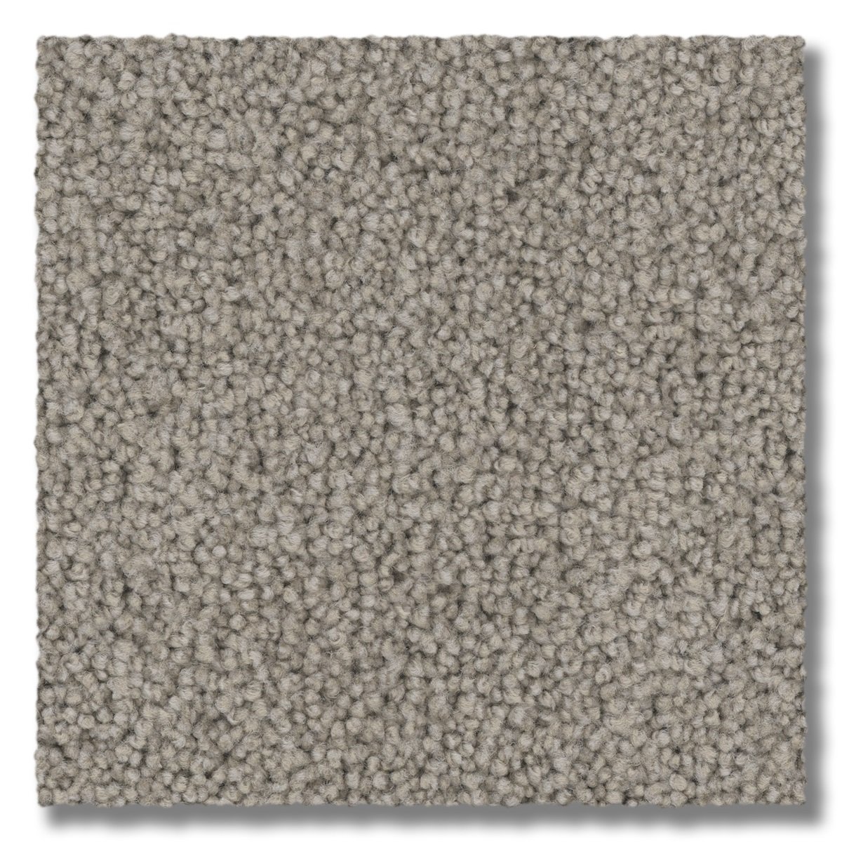 ラハム Big-Deal-Soft-Sable.jpg?fit=