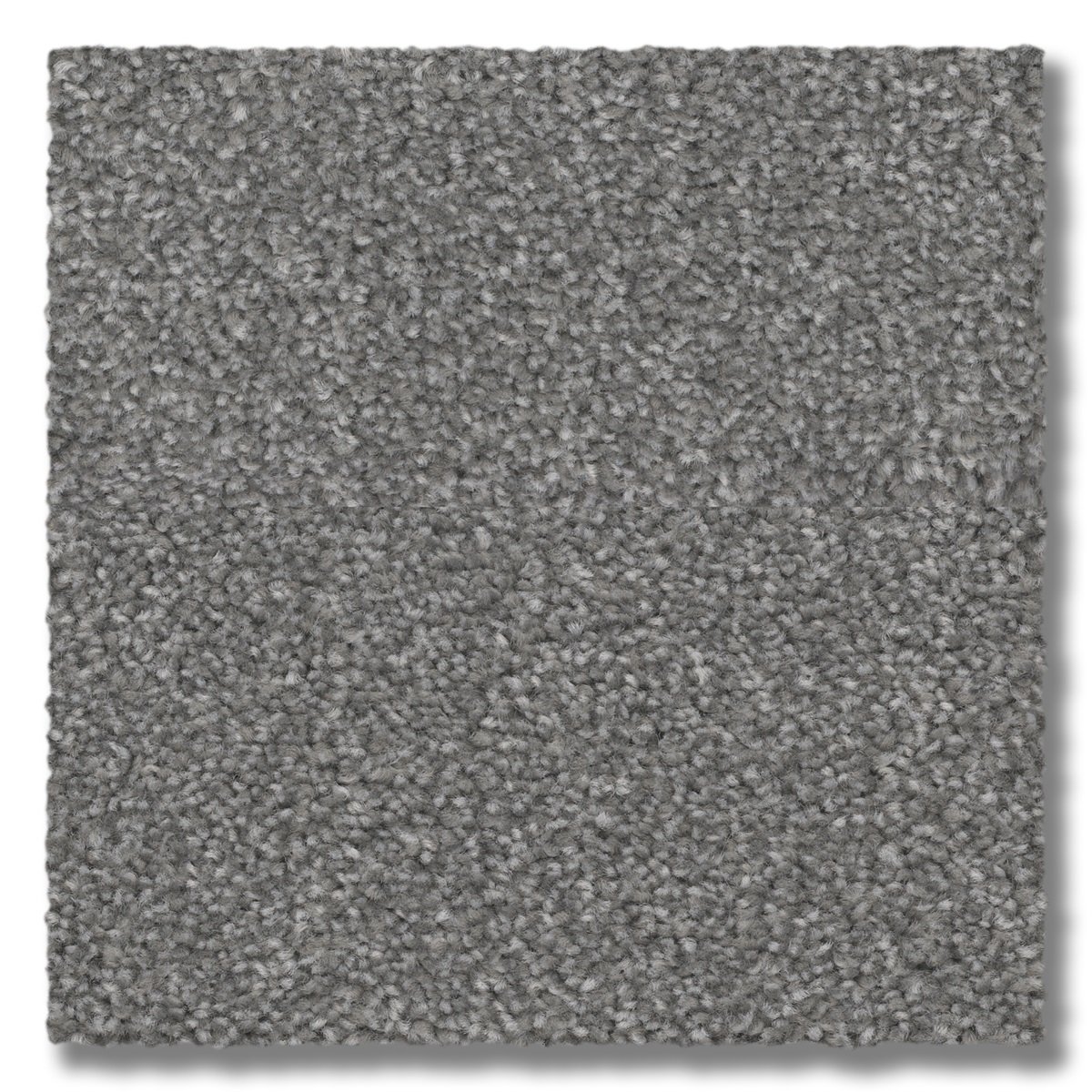 Magnetic-Foxy.jpg?fit=1200,