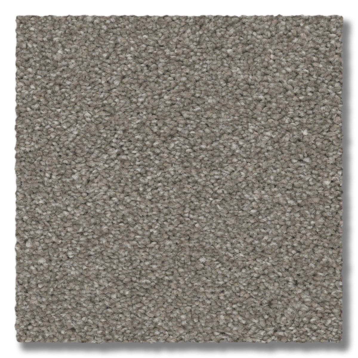 Magnetic-Shell.jpg?fit=1200,