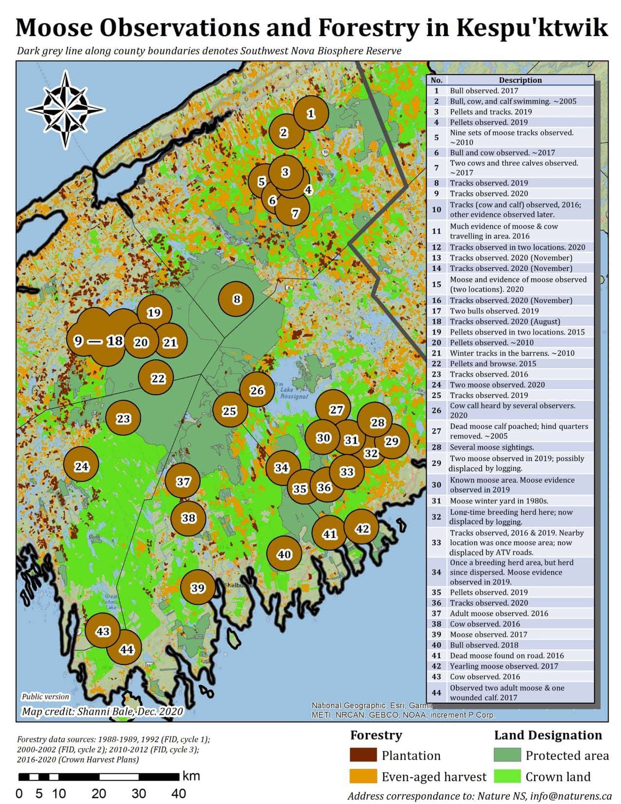 Why We Should Worry About The Few Remaining Mainland Moose Now More 