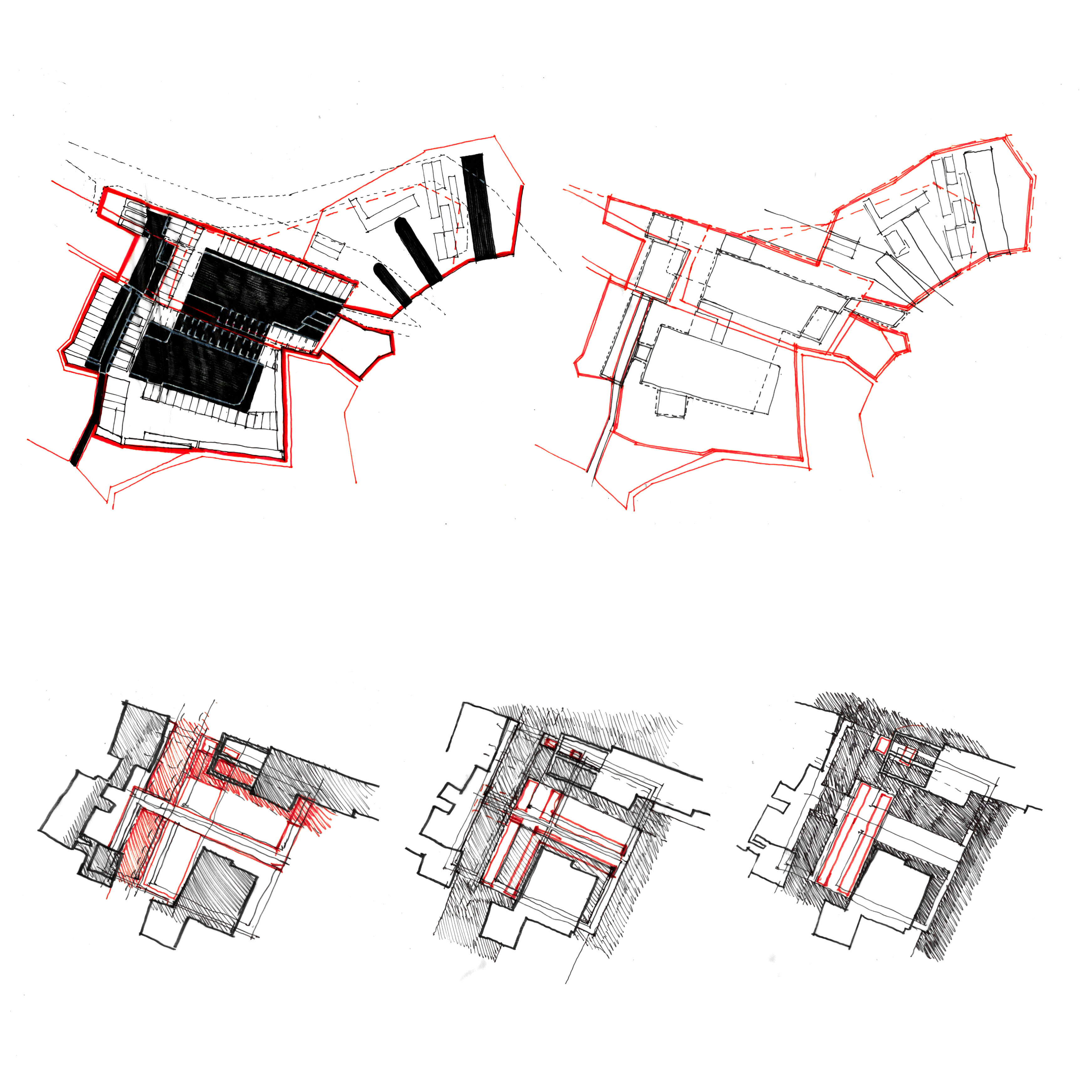 Studies of the site