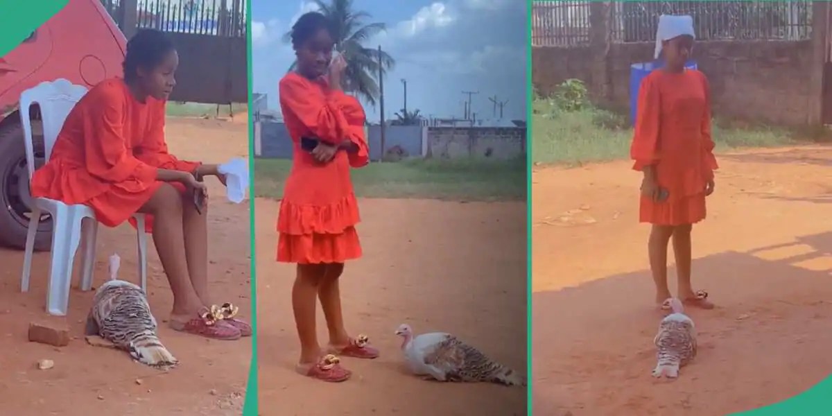 Turkey Follows Lady Wearing Red Dress