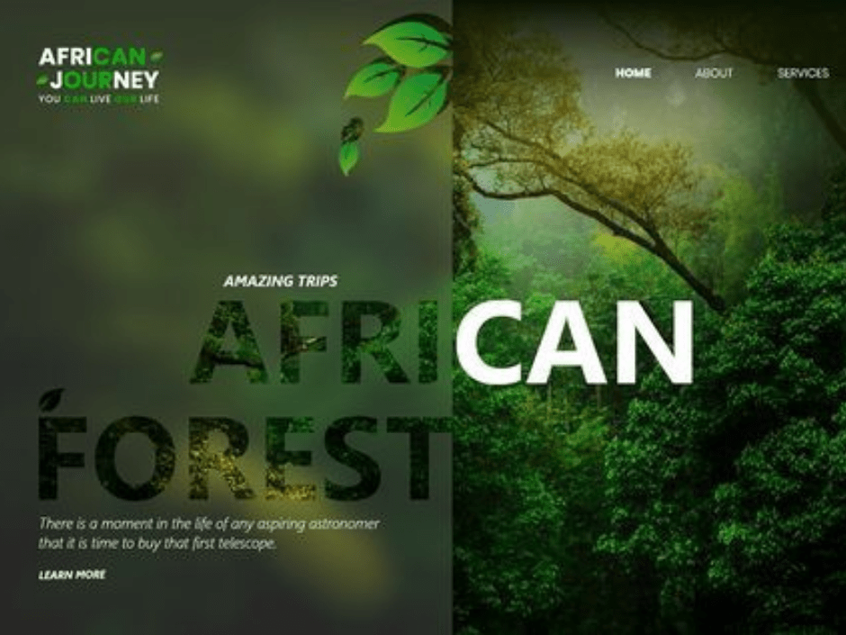 digital marketing agency premium website design and branding