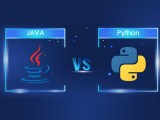 Python Or Java Which One Is Better Nspl Rtc Blog
