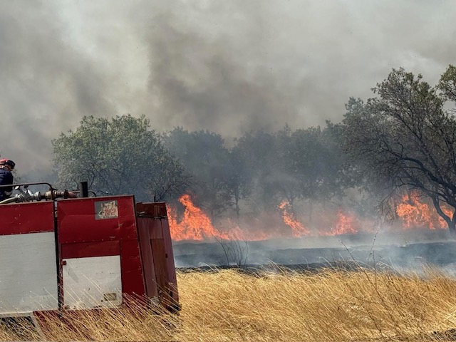 Bulgarovo Fire Evacuation: Video & Photos Bulgarovo Fire Evacuation: Video & Photos - News Directory 3