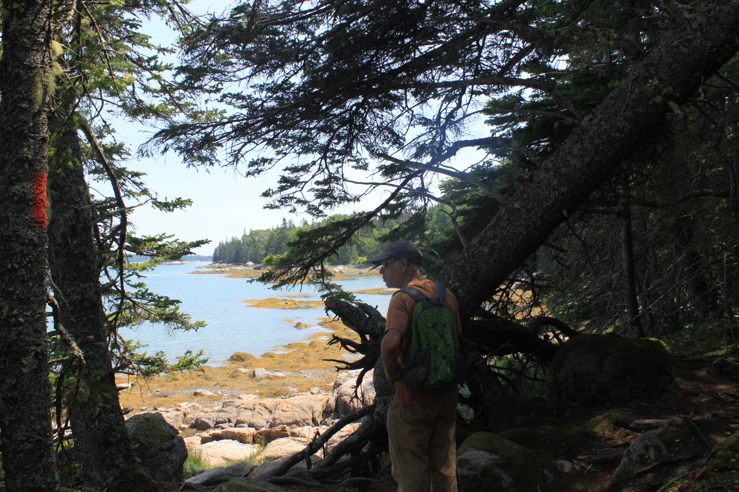 Views from a walk on the Tennis Preserve