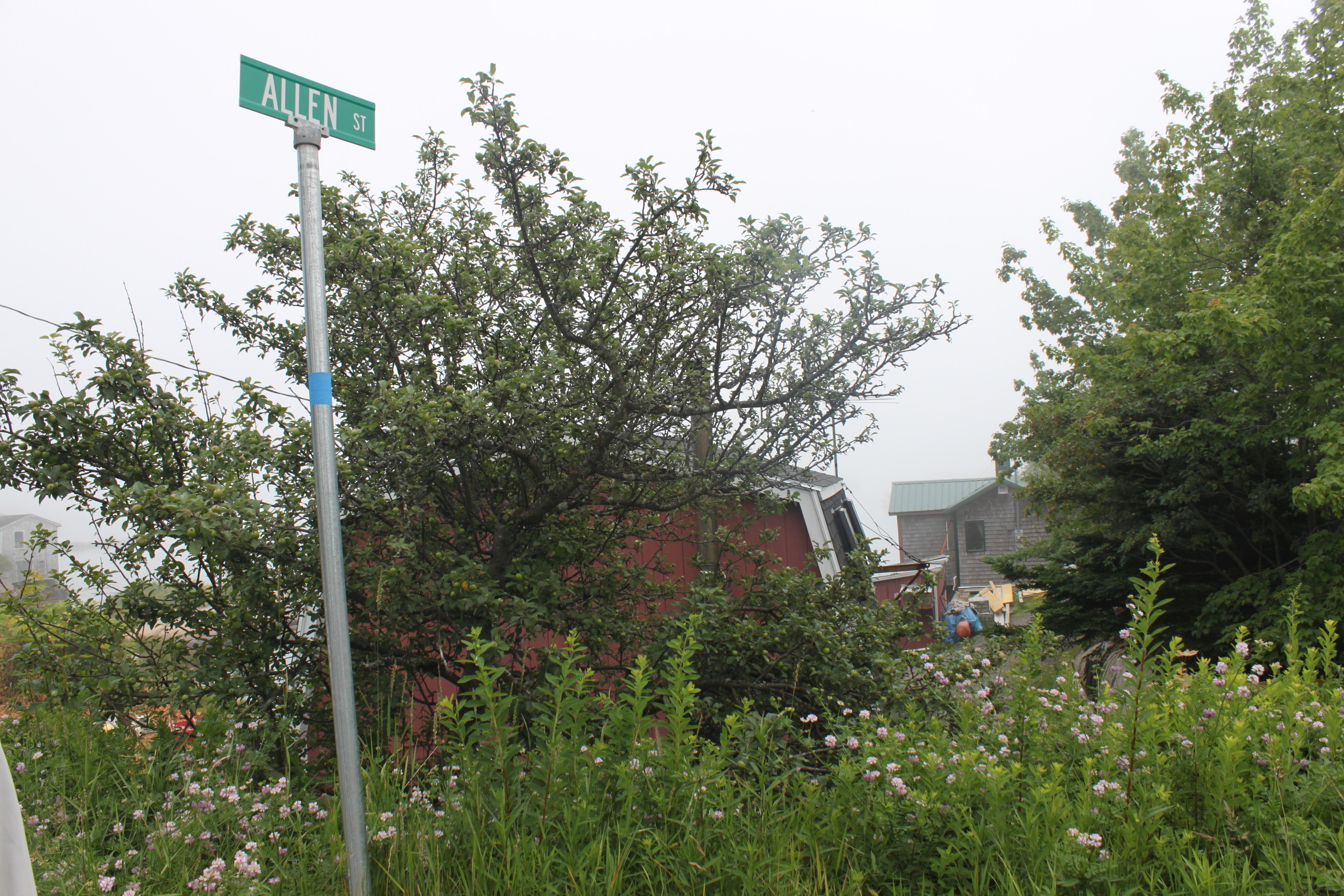 Street where Marin lived