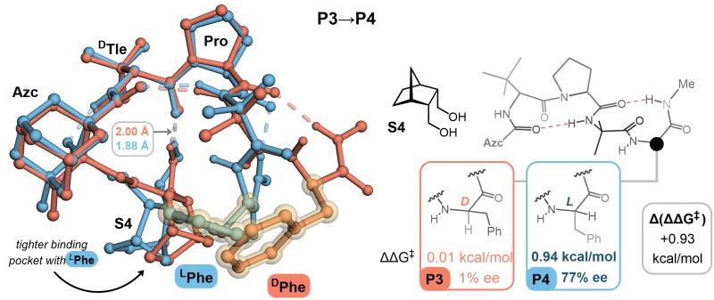 Ntampellini Nicol Tampellini Github - High Quality Sunset Illustration - High Resolution
