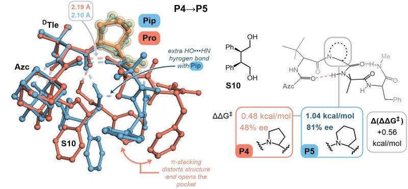 Ntampellini Nicol Tampellini Github - Gorgeous Full HD Mountain Arts | Free Download