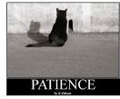 patience