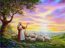 shepherd
