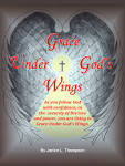 wings