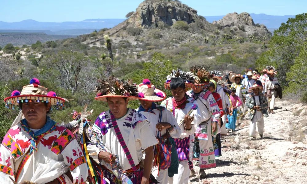 Orgullo mundial que parte de Nayarit sea ahora patrimonio de la UNESCO destaca Sheinbaum