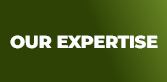 expertise.webp