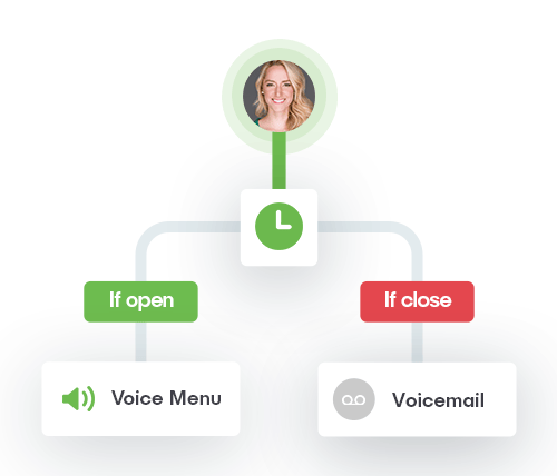 IVR Working Hours