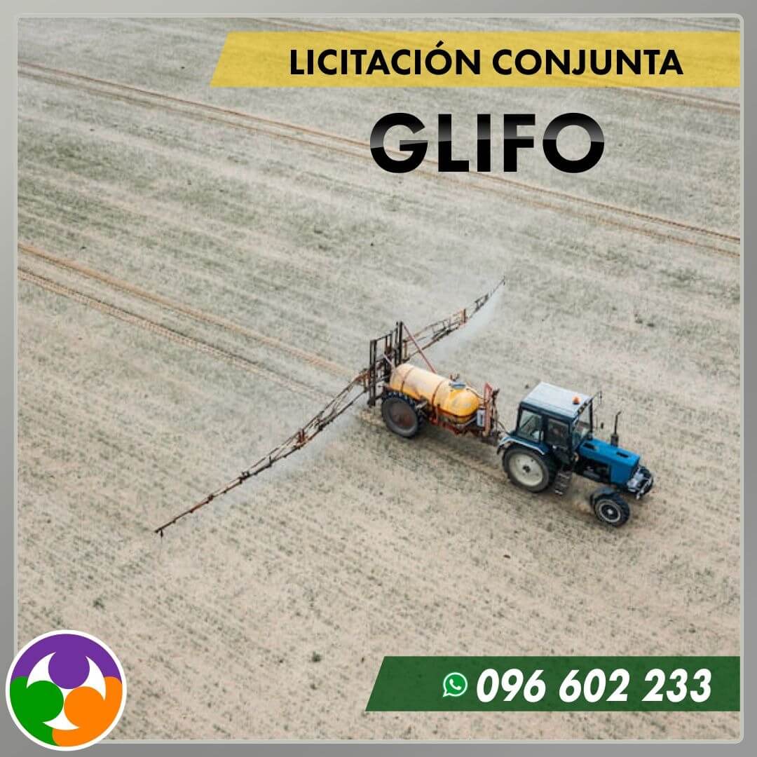 compra conjunta de glifo