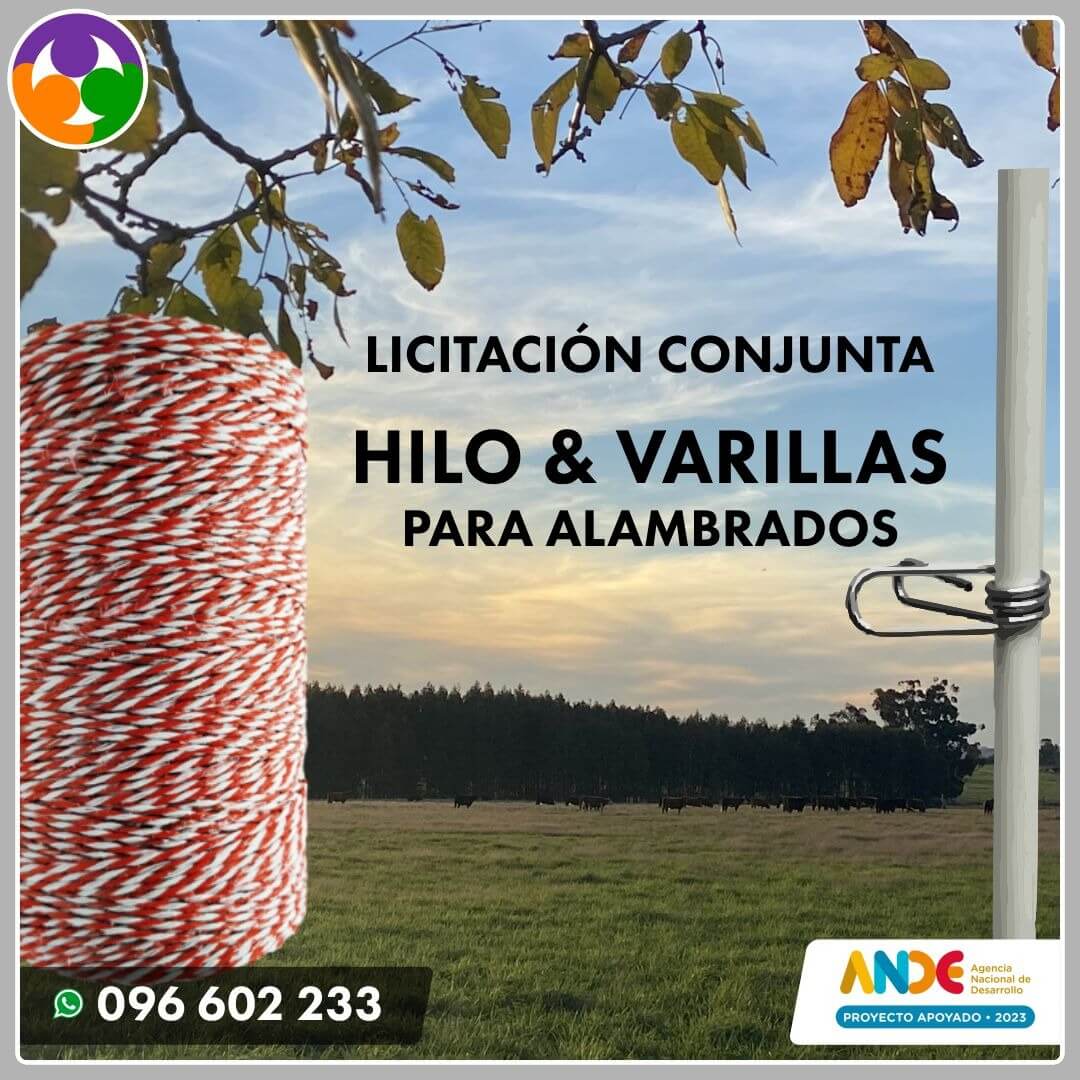 Hilo y varillas