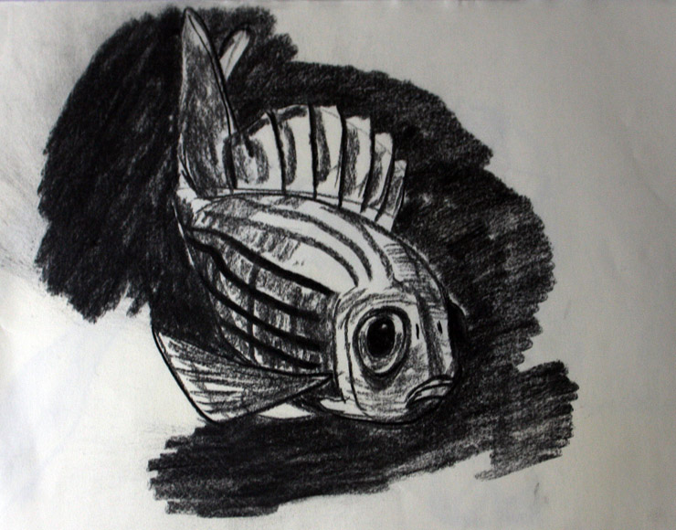 Vision is an important part of our lives, yet the ability to see is something that many people take for granted. Drawing Of A Fish With Big Eyes Yeonwook Choi